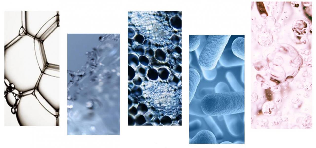 公主家新銳單品獲瑞麗潮流大番榜“年度口碑發光睡眠面膜”，與雅詩蘭黛、嬌蘭共同上榜