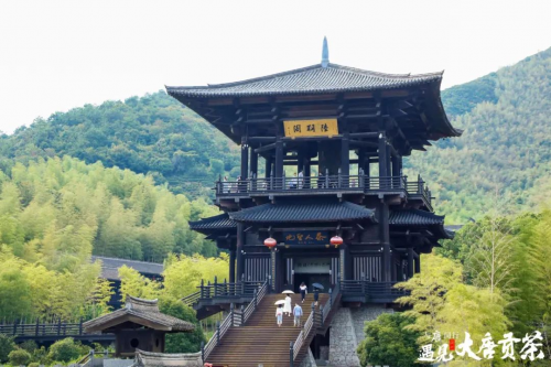 品讀茶香古韻，暢享美好生活！當大唐財富遇見大唐貢茶