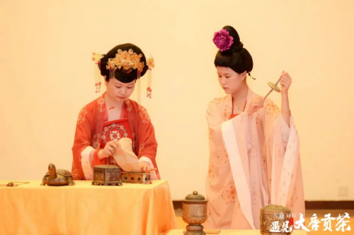 品讀茶香古韻，暢享美好生活！當大唐財富遇見大唐貢茶