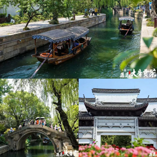 品讀茶香古韻，暢享美好生活！當大唐財富遇見大唐貢茶